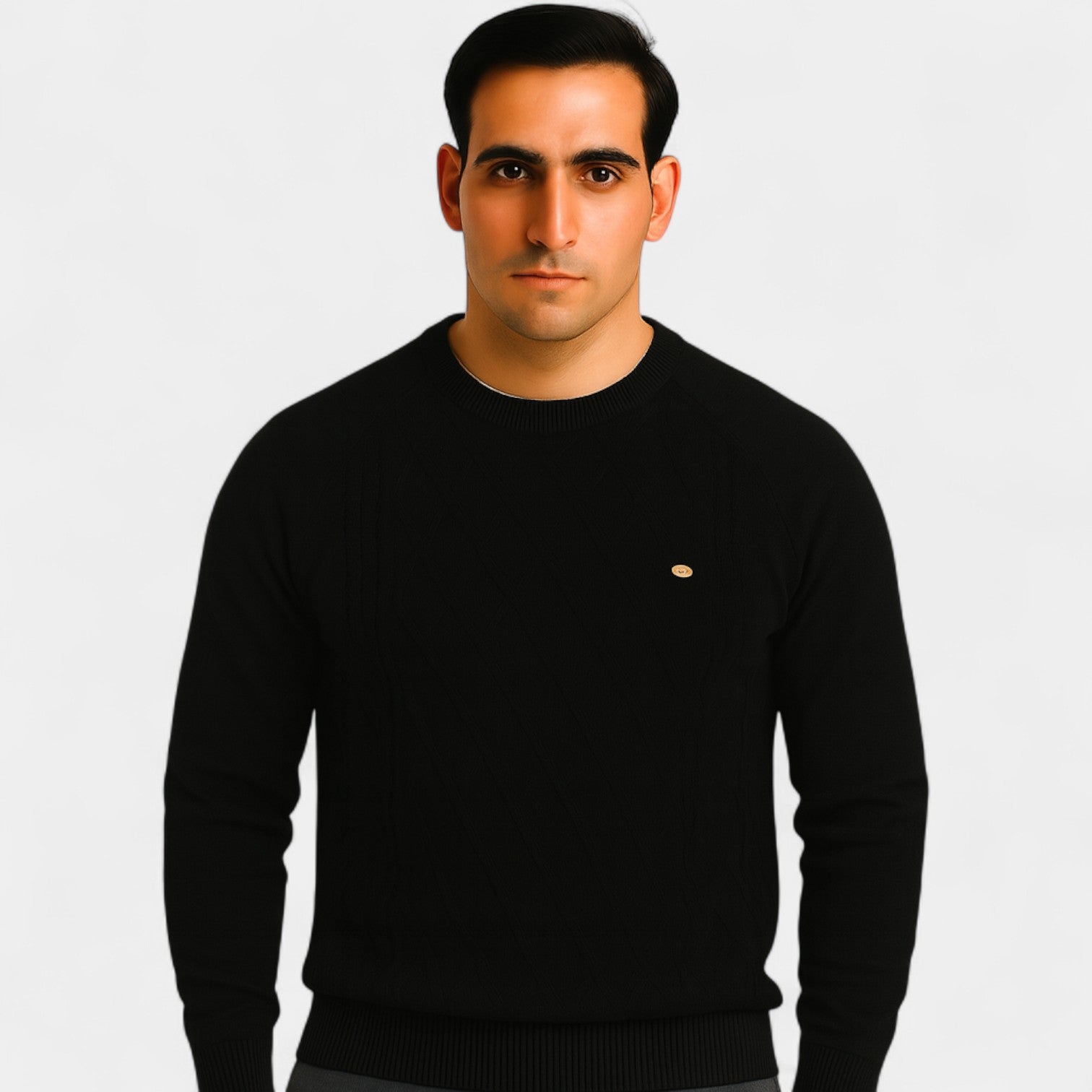 Riche | Pull col rond coton homme – coupe classique unie