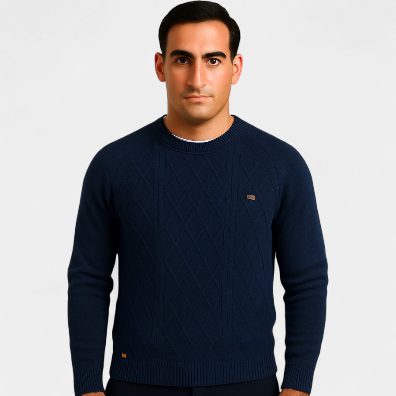 Riche | Pull col rond coton homme – coupe classique unie