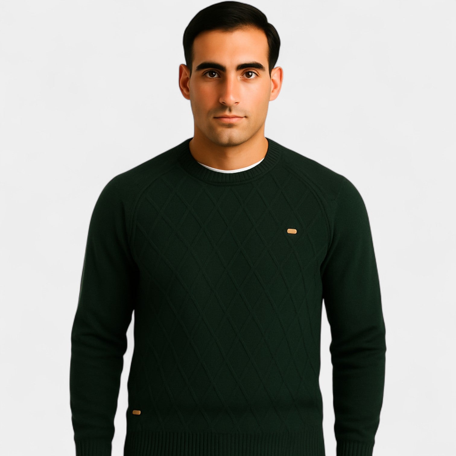 Riche | Pull col rond coton homme – coupe classique unie