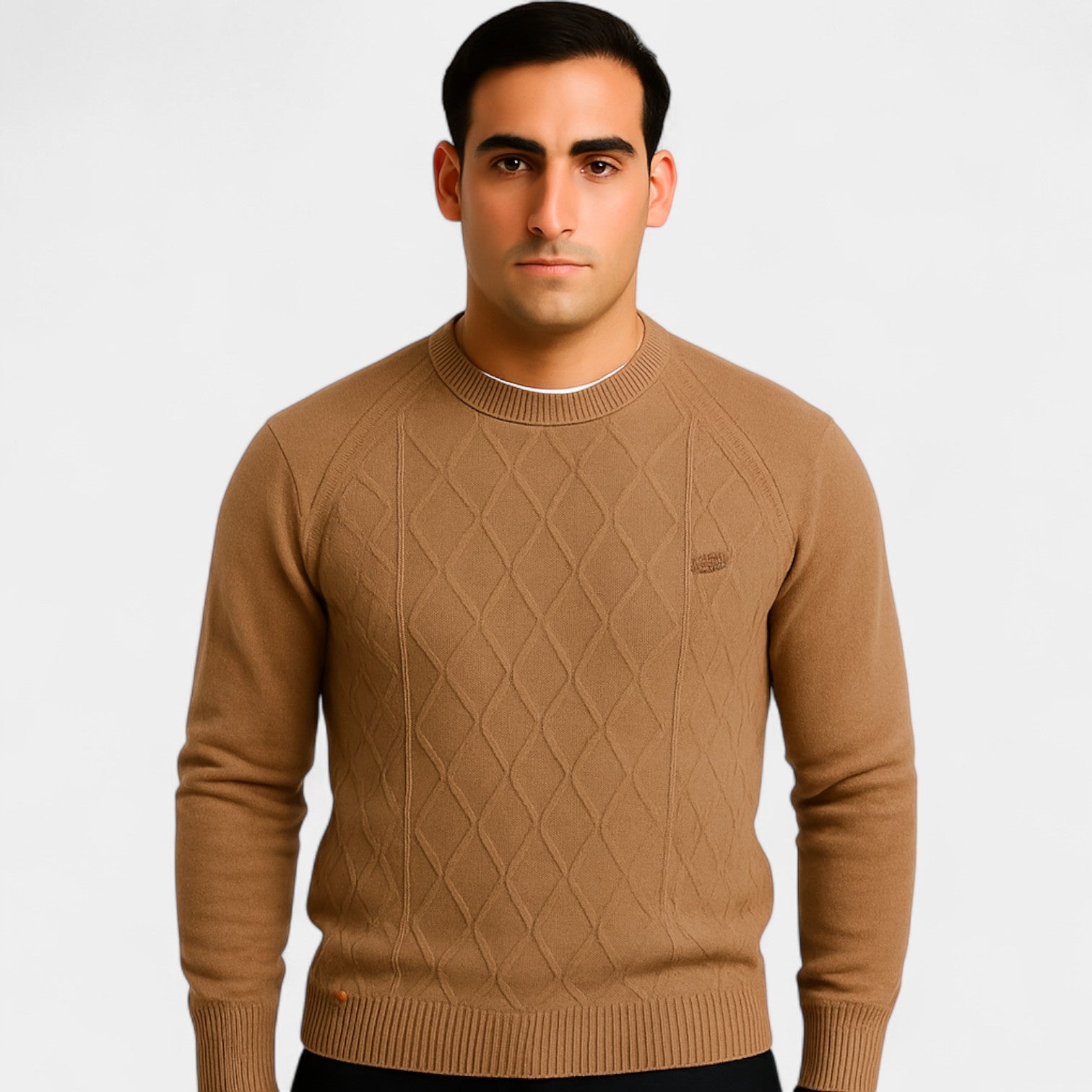 Riche | Pull col rond coton homme – coupe classique unie