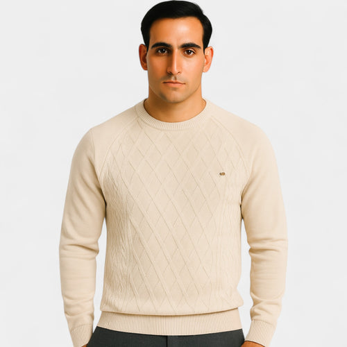 Riche | Pull col rond coton homme – coupe classique unie
