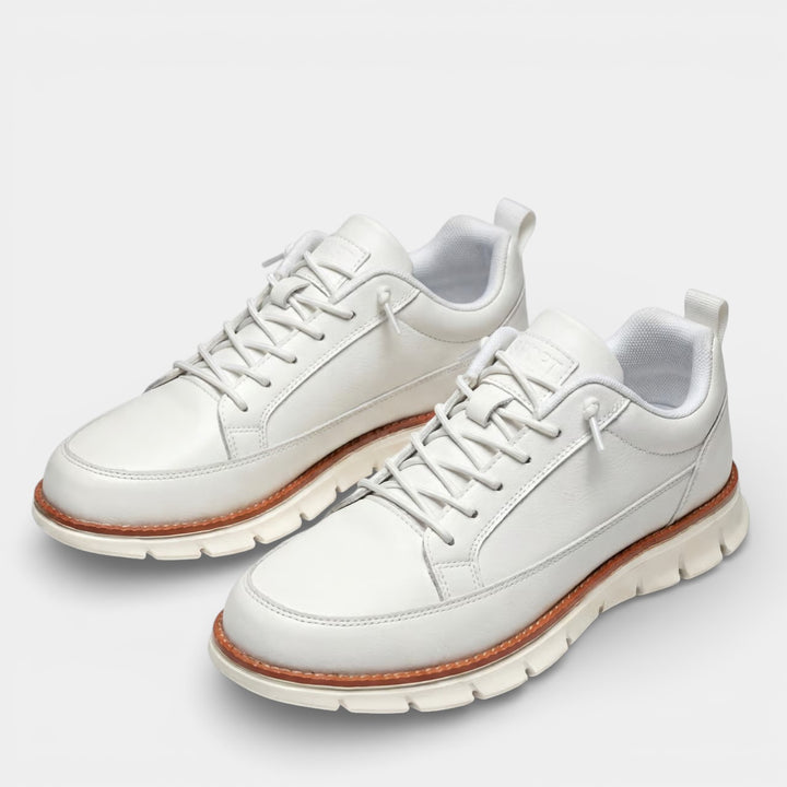 Baskets casual homme en toile – Coupe basse à lacets